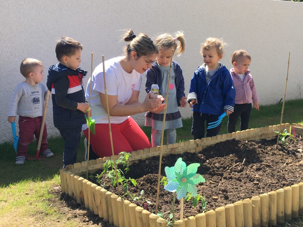 Notre petit potager bio